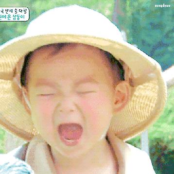 制作豆腐调查报告,深圳豆腐质检报告