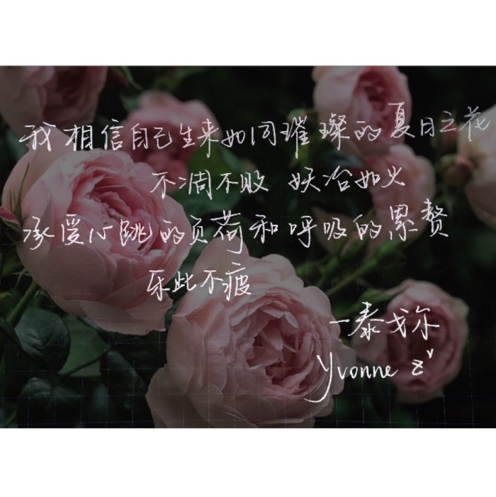 只愿世间风景千般万般熙攘过后，字里行间，人我两忘，相对无言