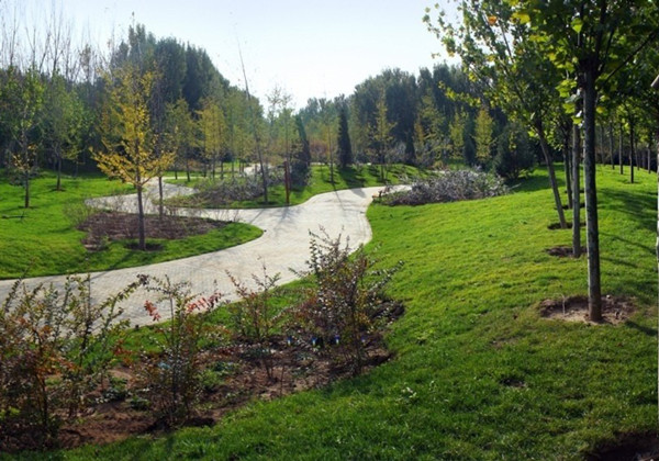 园林绿化养护管理操作规程完整,园林绿地维护与管理教案怎么写