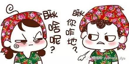 雨琳科技的程序猿们造作了!