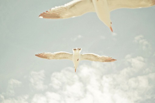 深度分析你为什么赚不到钱,你为啥赚不到钱揭秘4个真相