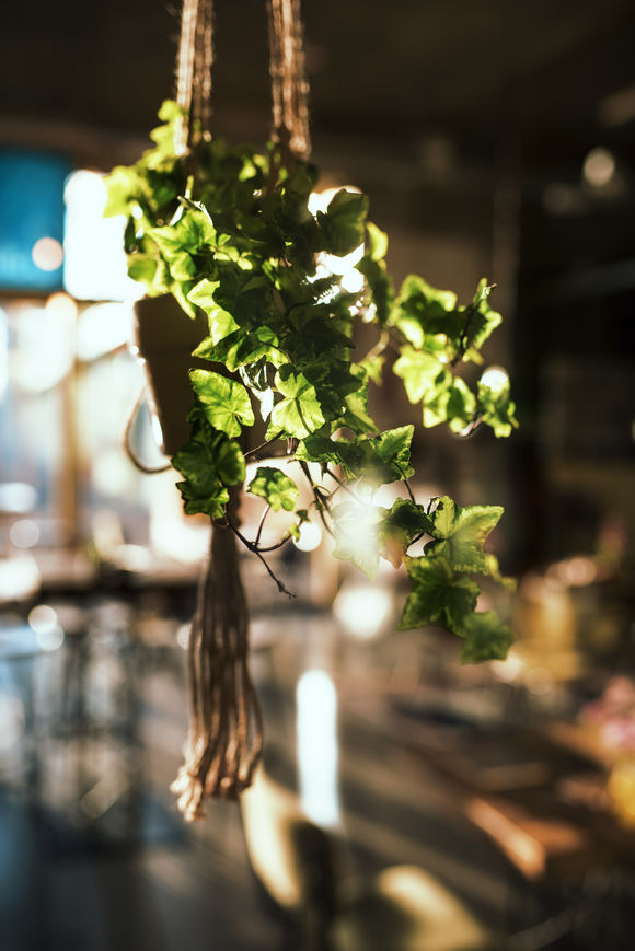 一张照片讲述一个故事100字,用照片讲述经历的视频