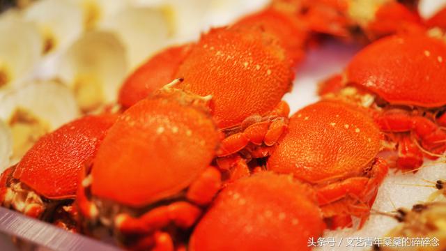 此地与我有缘-再见闽南