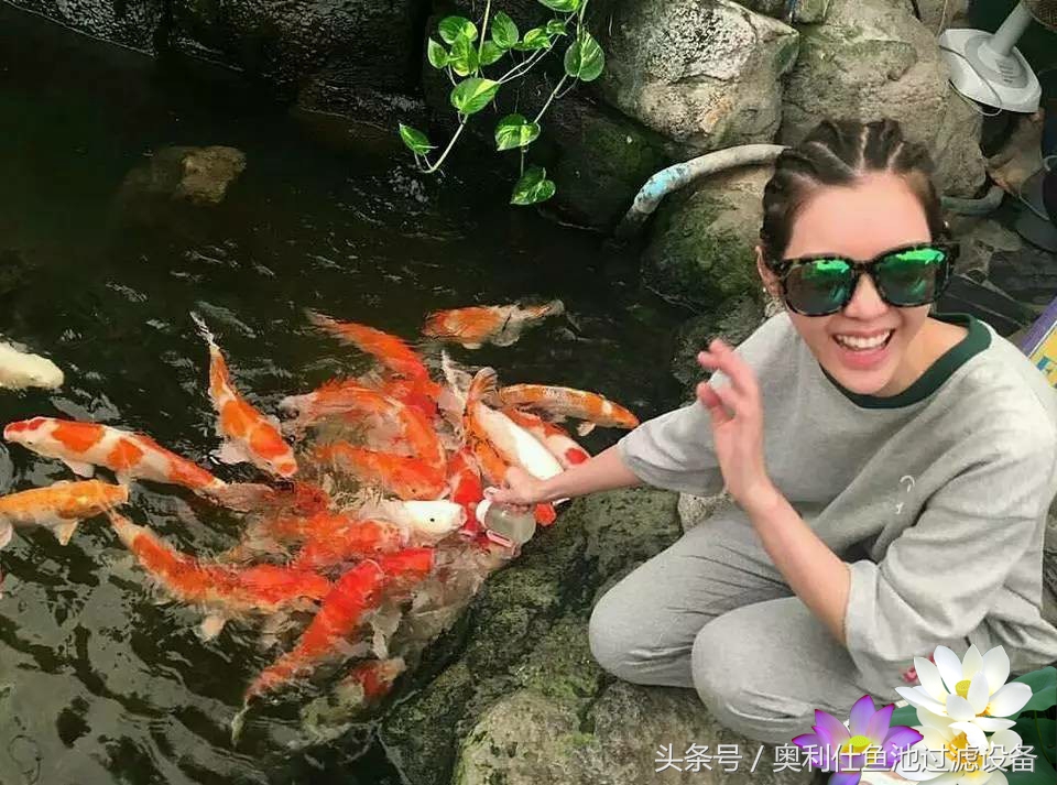 不会撩妹的锦鲤，不是一条好锦鲤！