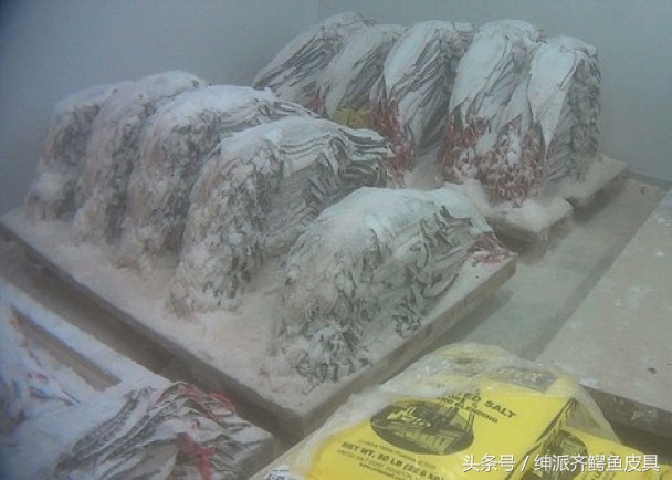 泰国鳄鱼皮具好用吗 (泰国的鳄鱼皮具)