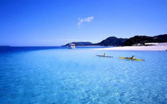 每天的出行安排丰富多彩,每天的行程都很规律