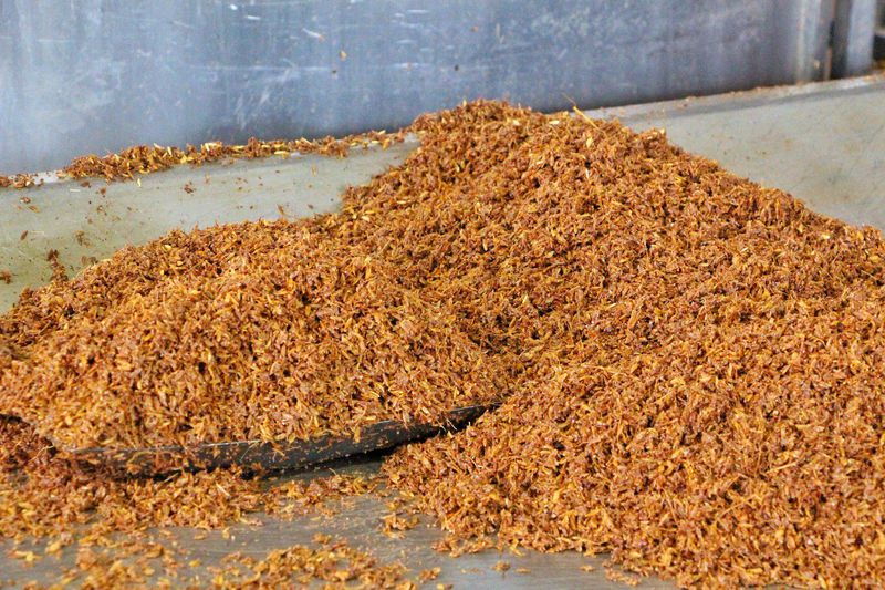 青山绿水间自由的飞翔,青山绿水放飞心情拥抱大自然