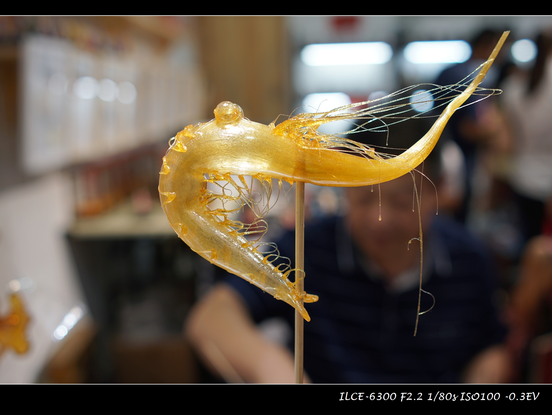 索尼微单a6000和a6300,索尼a6300微单摄影入门教程