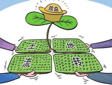 新政即将出台，农民每人最少也有300元补贴地域不同补贴标准不一快看看你的在哪？