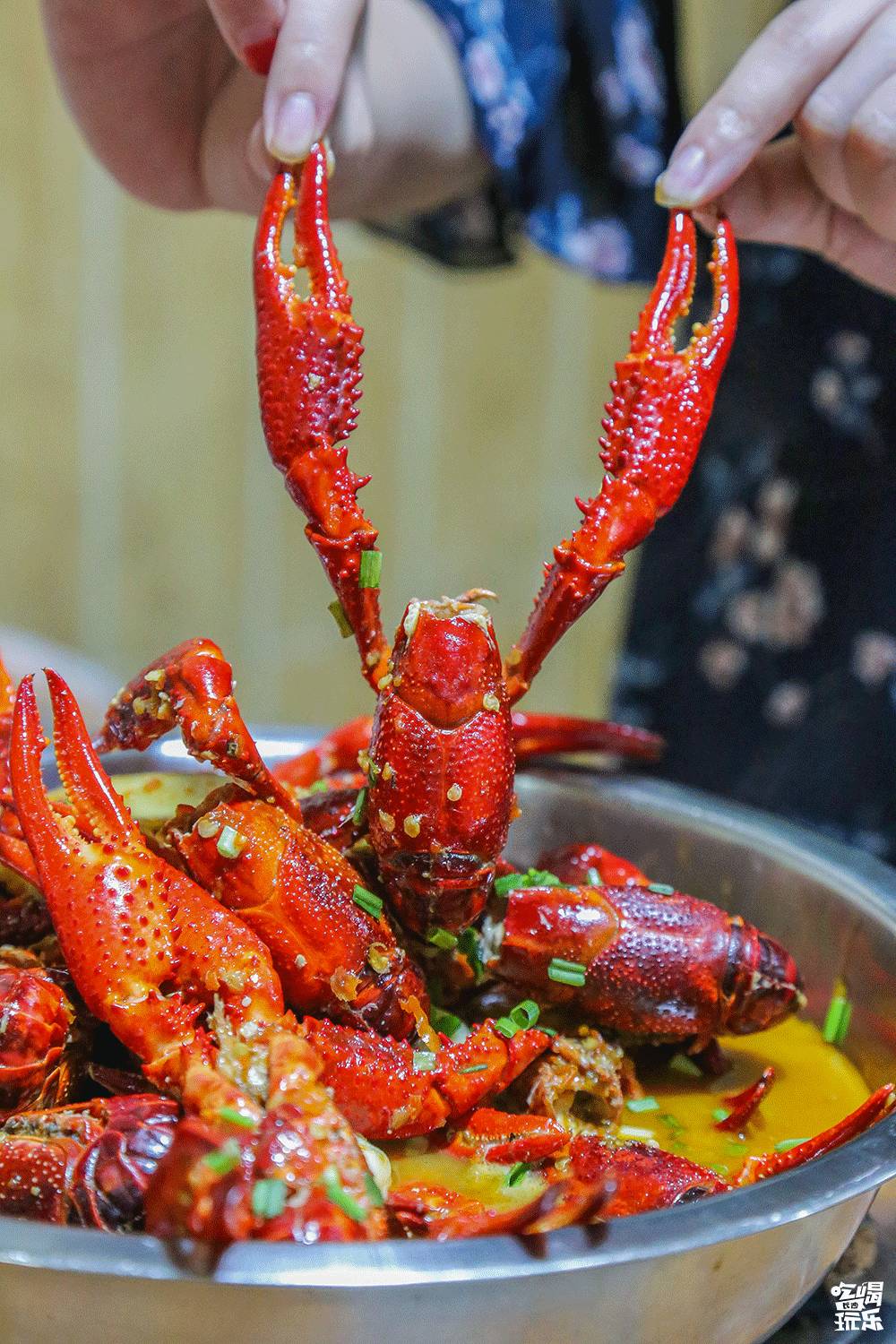 对不起我要离开了的古文,对不起我要离开了文章