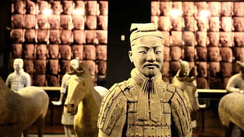 藏医如何治疗眼睑痉挛,字里藏医原文