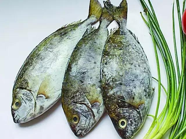 《一啸渔乐》常见的海鱼你认识多少？