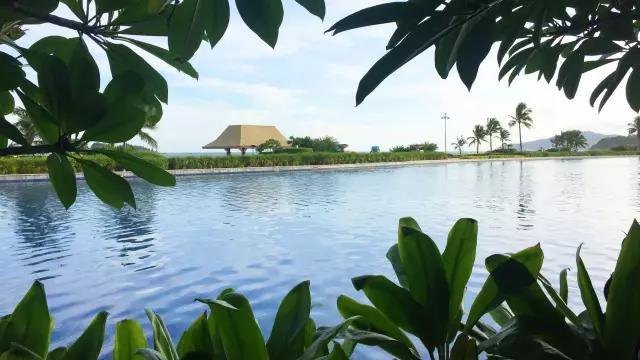 阳江海陵岛旅游攻略一天多少钱,海陵岛自驾游最佳路线攻略