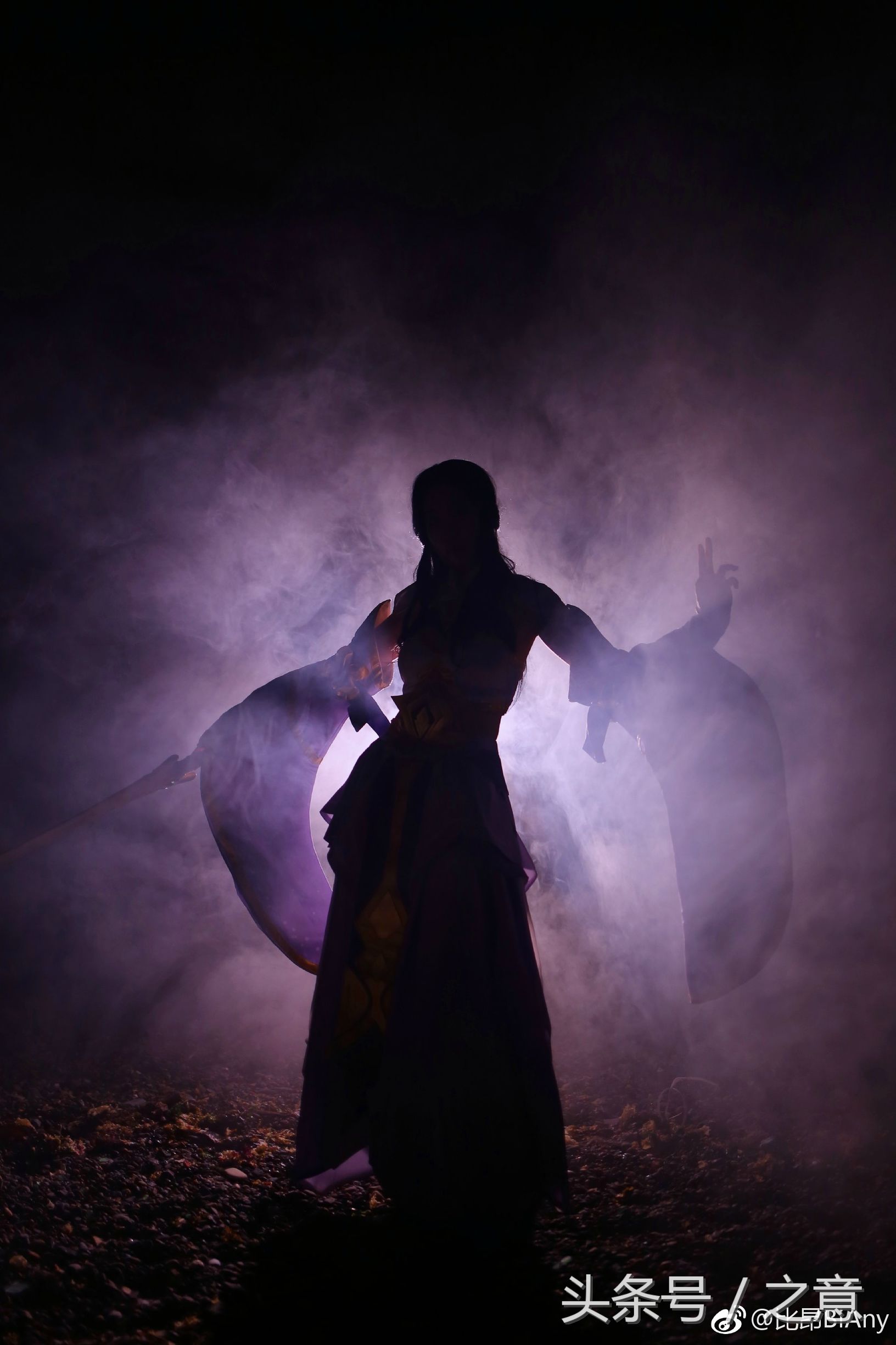 鍙ら鑹烘湳鎽勫奖鑺辩诞,闇插鎽勫奖浣滃搧