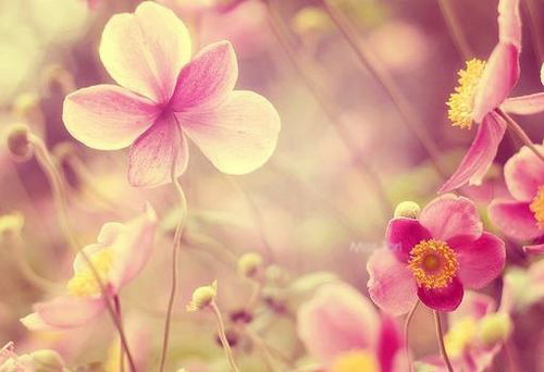 治疗腋臭什么季节最好最有效,夏季腋臭什么原因