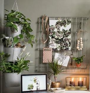 生活不容你猖狂,如何花最少的钱住得更好?