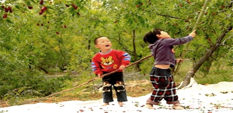 半夜失枣老人追贼追到土地庙发现竟是一堆土偶嘿嘿产生一段奇缘