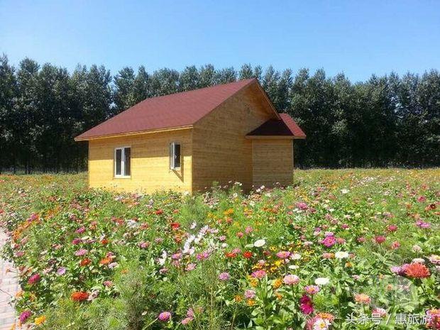 津门冬季旅游景点大全,蹭热度和涨热度