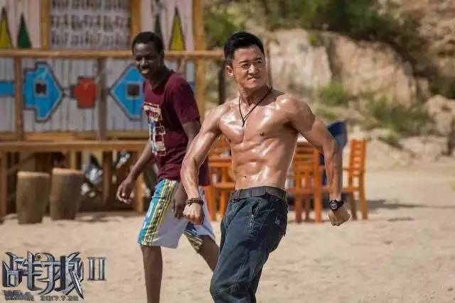 战狼2投资多少亿,战狼2耗资多少