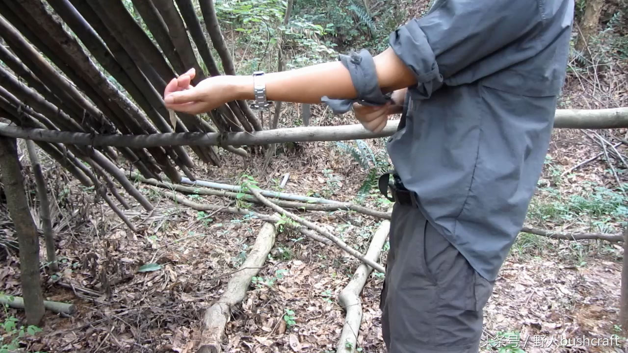 荒野求生徒手杀牛,荒野求生割生肉