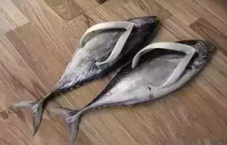 韩国人现在的脑洞程度,韩国人的脑洞大