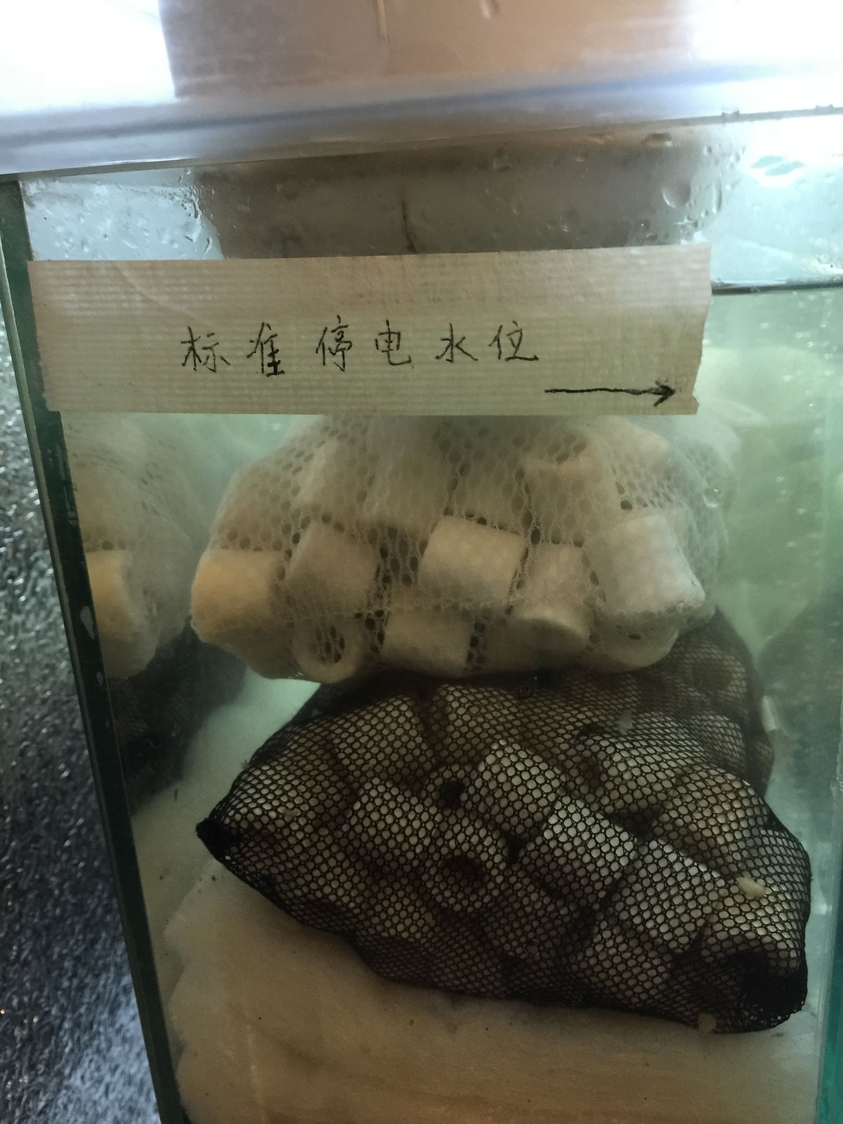 鱼缸diy用什么石头,鱼缸diy制作30元