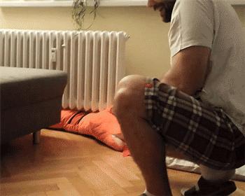 一梦谈狗：听说你喜欢法国斗牛犬，那你了解它么？