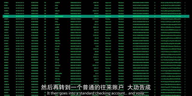 我的真实前半生,深度揭秘我的前半生