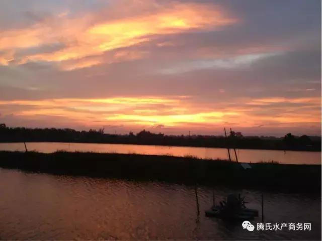 王维说虾-时间系列⑦｜8月改底看这里，掌握五类改底方法，你就是专家！