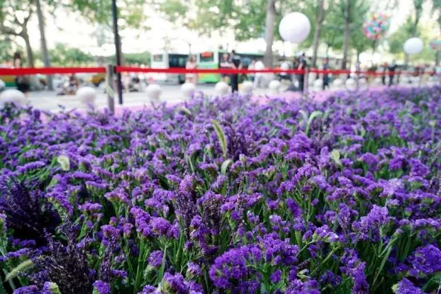 鑸屽皷涓婄殑鍗楅棬,鑸屽皷涓婄殑鍗楅棬缇庨鍥㈣喘