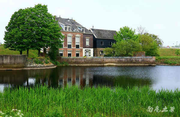 荷兰现在能不能去,什么时候不能去荷兰