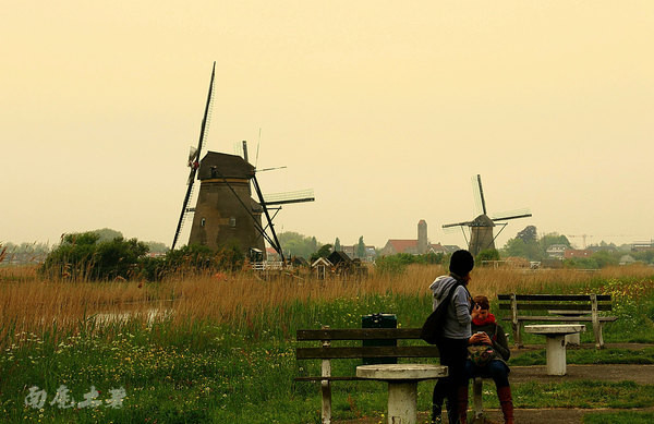 荷兰现在能不能去,什么时候不能去荷兰
