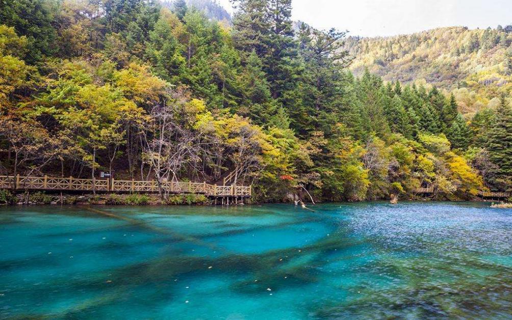 国内各旅游地坑人事项表,揭秘旅行陷阱