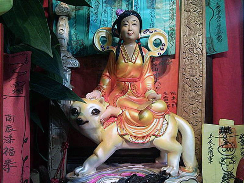 鬼吹灯之黄皮子坟黄皮子放了没有,黄皮子坟真实民间传说