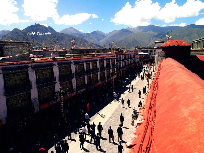 奥古斯都,August的格桑花秘境：我养你！带你去*藏西**啊！