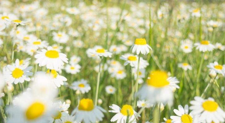 显示器标准色温,显示器的色温到底应该是多少
