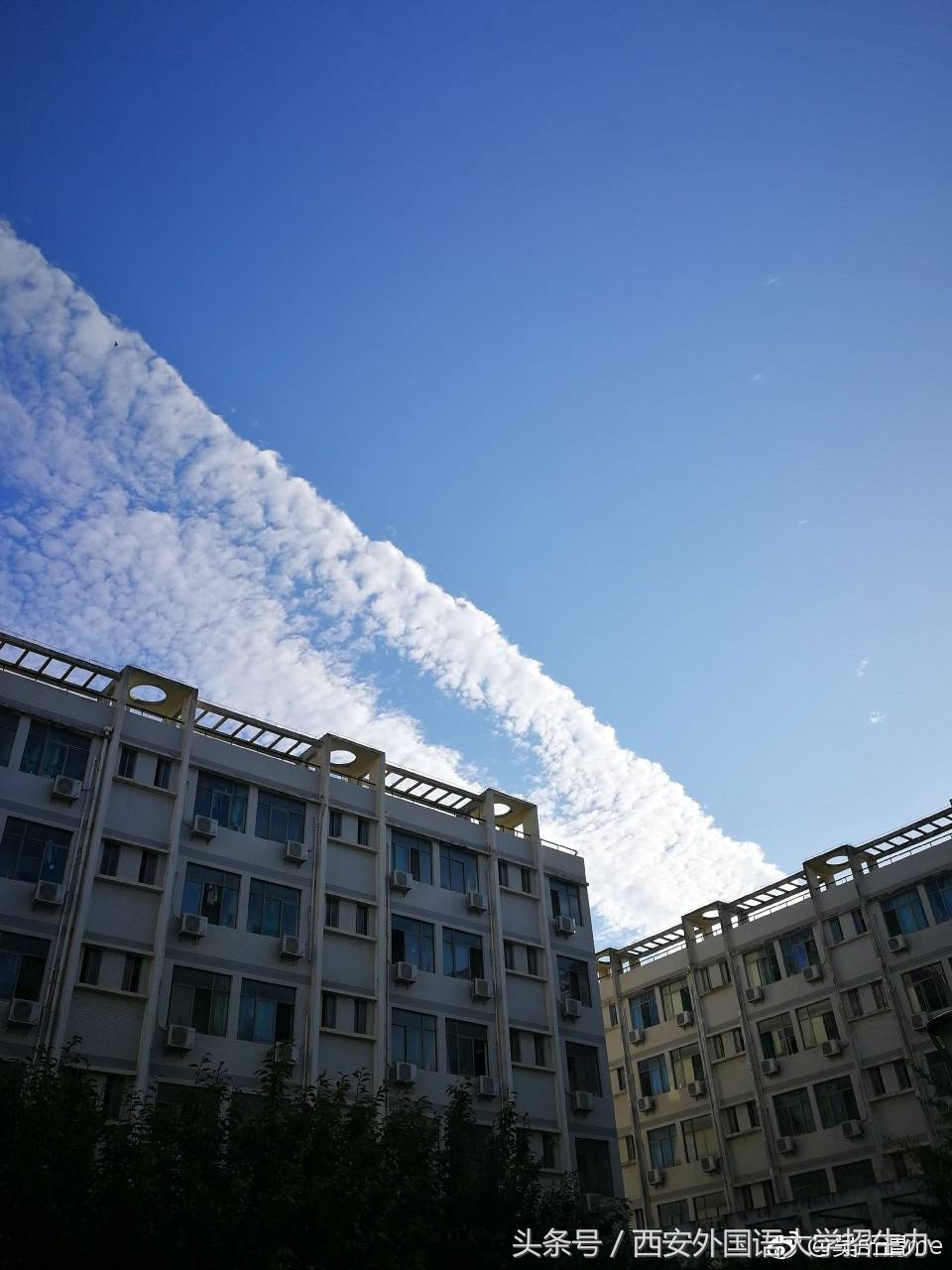 大学迎新招数又升级:宿舍空调、WIFI覆盖、美食