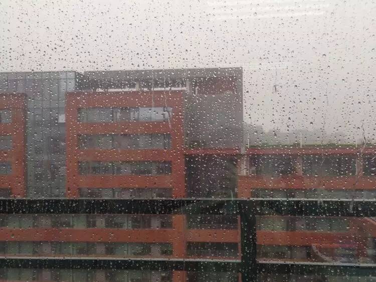 我再也不会问你在干嘛了,再也不会问你在干嘛