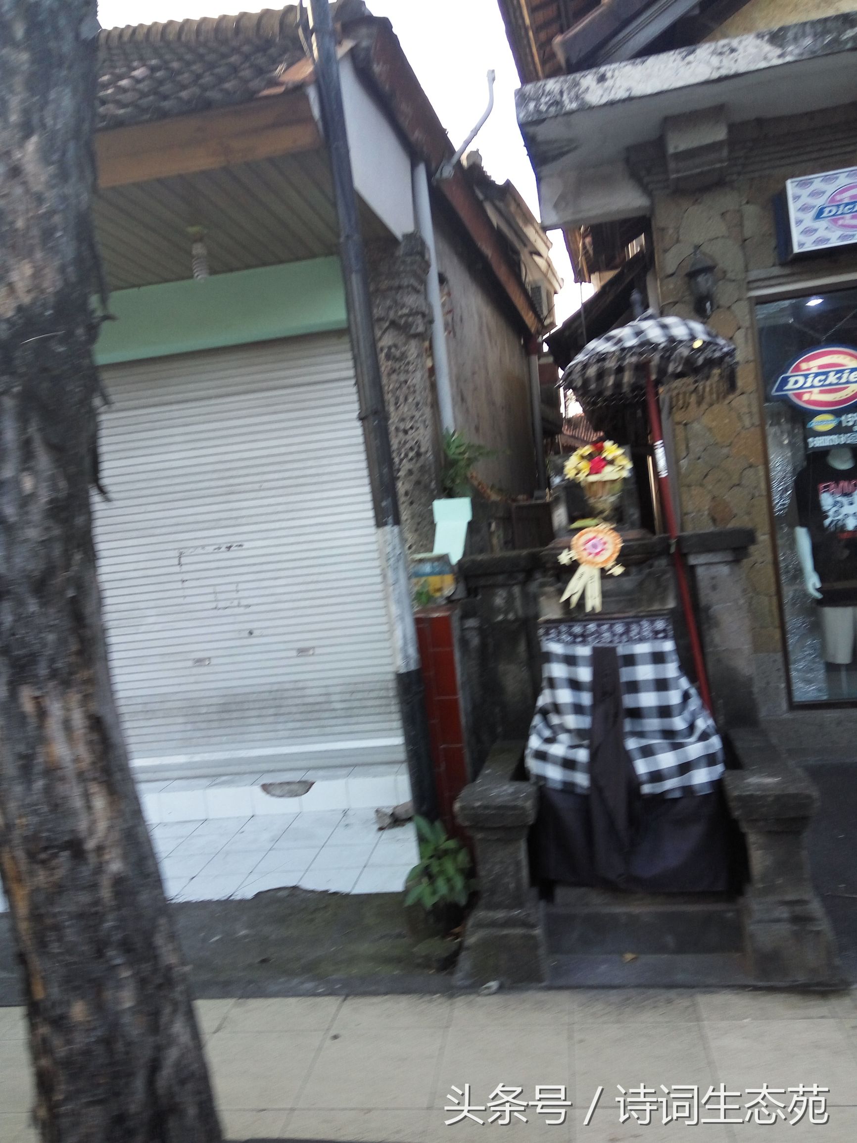 巴厘印象一日游,巴厘风情旅游攻略