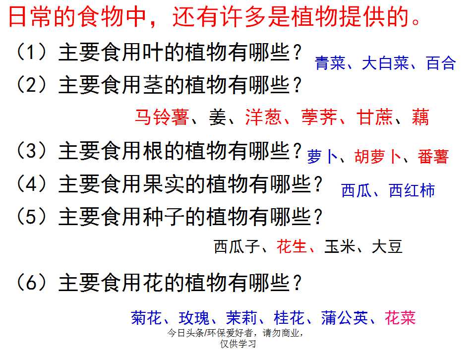 认识植物从身边开始,认识植物的根茎叶各个部分