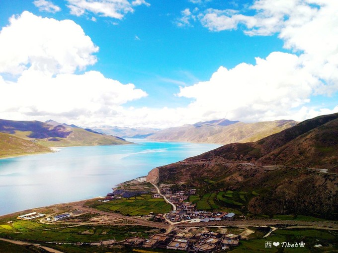 奥古斯都,August的格桑花秘境：我养你！带你去*藏西**啊！