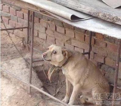 开会老板发脾气原视频,开会领导突然发火怼你