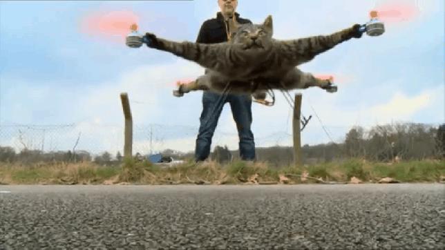 战狼2里面的无人机片段,战狼二无人机哪个好