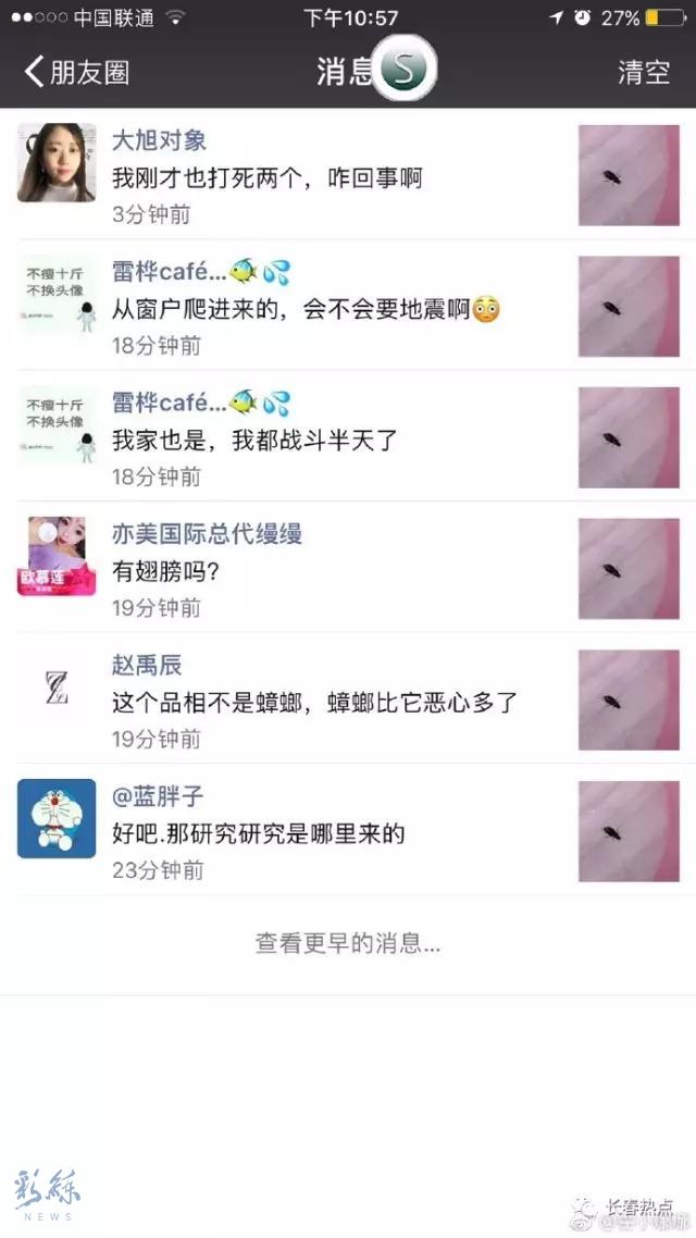 沈阳有虫子吗,京津冀出现黑虫子