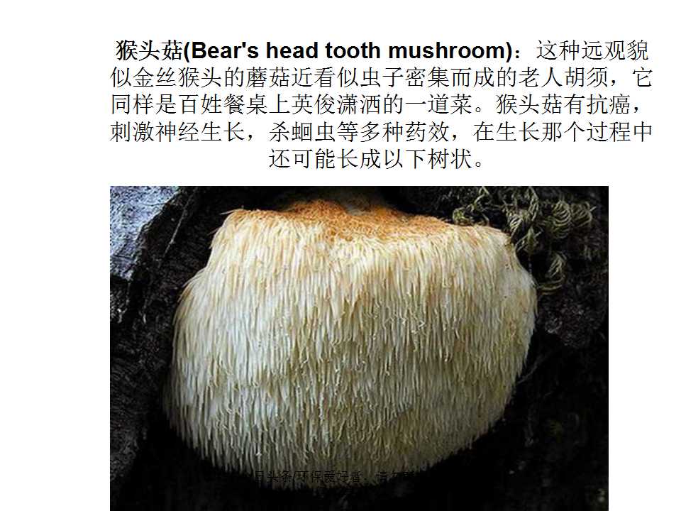 认识植物从身边开始,认识植物的根茎叶各个部分