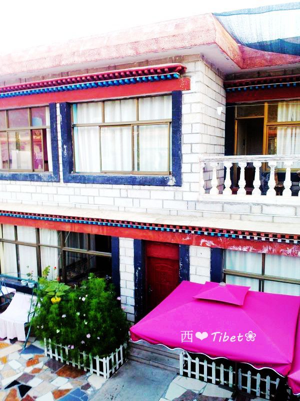 奥古斯都,August的格桑花秘境：我养你！带你去*藏西**啊！