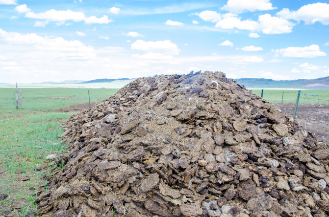天堂草原锡林郭勒歌词及对白,真正的内蒙古锡林郭勒大草原
