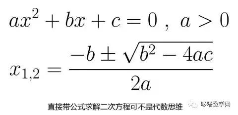 代数是什么举例,代数是什么举个例子