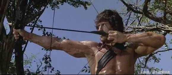 “*博兰**之牙到铁血战士”现代弓箭们的电影传奇