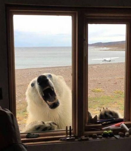 体验一下坐长途客车的感受,坐大巴车长途什么感觉